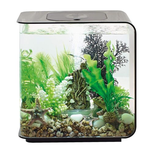 avis biorb flow 15 led 72029