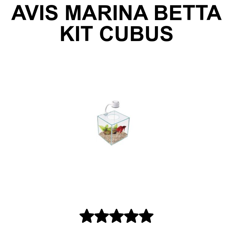 Aquarium Cube Marina Betta 3,4L - Verre Avec éclairage LED - Kit Complet Pour Poisson Combattant Aquarium Cube Marina 3.4 Litres