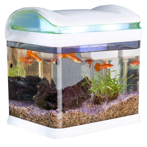 comparatif aquarium complet