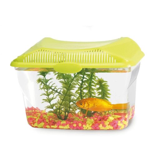 comparatif aquarium