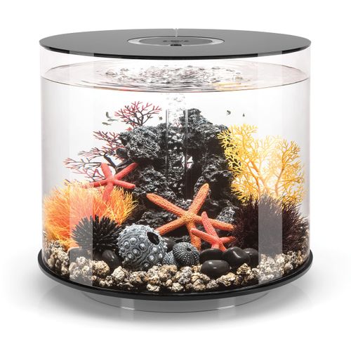 meilleur aquarium biorb