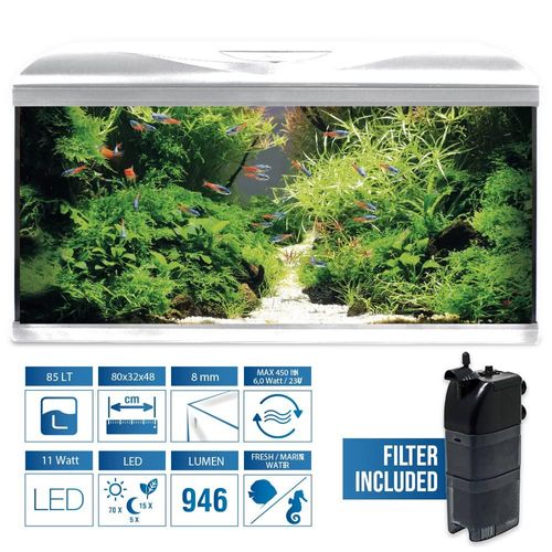 meilleur aquarium eau douce