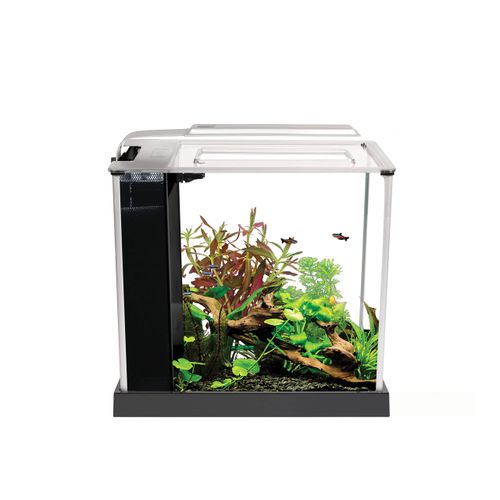 meilleur aquarium fluval