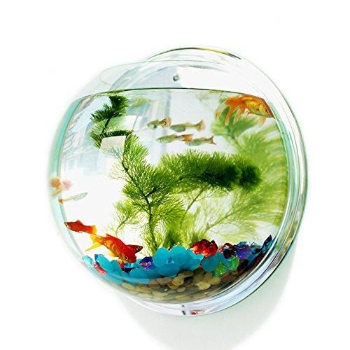meilleur aquarium mural