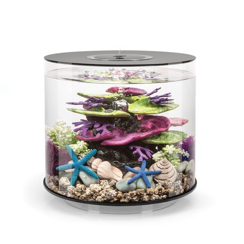 meilleur aquarium rond