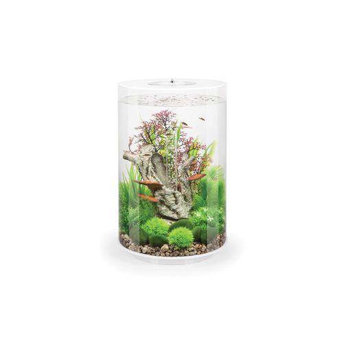 meilleur rapport qualite prix aquarium biorb
