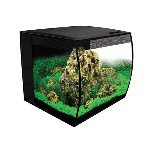 meilleur rapport qualite prix aquarium fluval