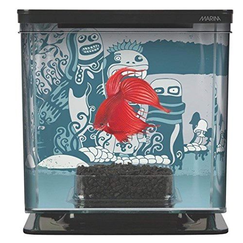 meilleur rapport qualite prix aquarium marina