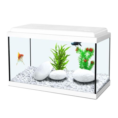 meilleur rapport qualite prix aquarium