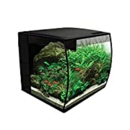 quel aquarium carre choisir