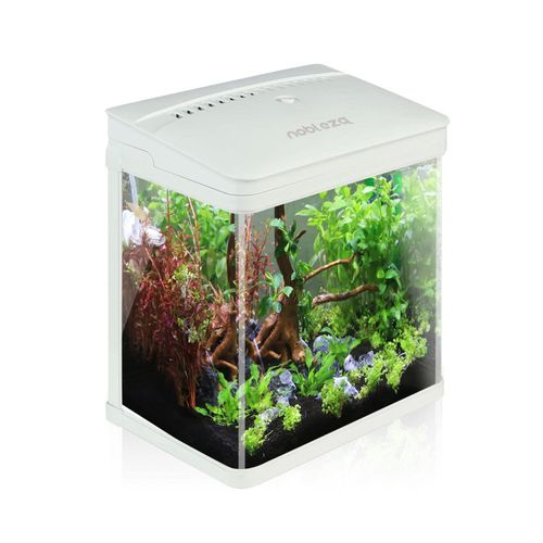 quel aquarium complet choisir