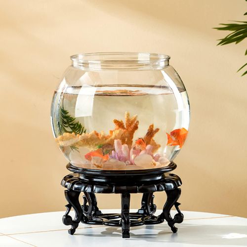 quel aquarium rond choisir