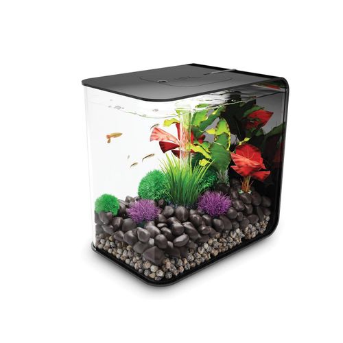 top aquarium biorb