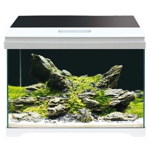 top aquarium complet