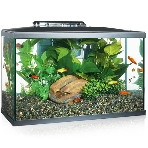 top aquarium marina