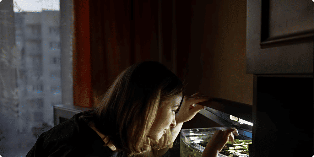 Quand nourrir ses poissons d'aquarium ?